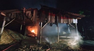 WhatsApp Image 2026-02-03 at 05.59.00