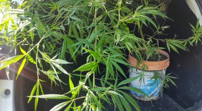 WhatsApp Image 2026-02-03 at 11.16.05