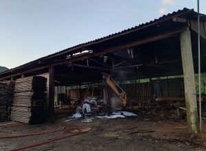 WhatsApp Image 2026-02-06 at 08.55.59