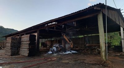 WhatsApp Image 2026-02-06 at 08.55.59