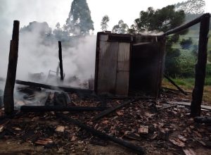 WhatsApp Image 2026-02-07 at 08.02.47